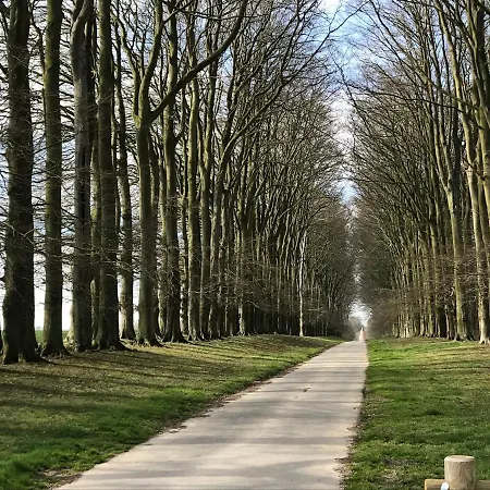 Pressoir Du Bois Gribout