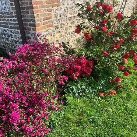 Pressoir Du Bois Gribout Villa Hautot-Saint-Sulpice