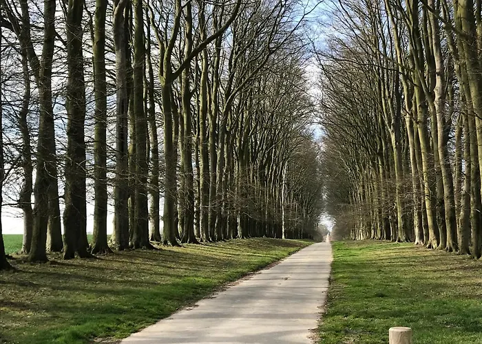 Pressoir Du Bois Gribout