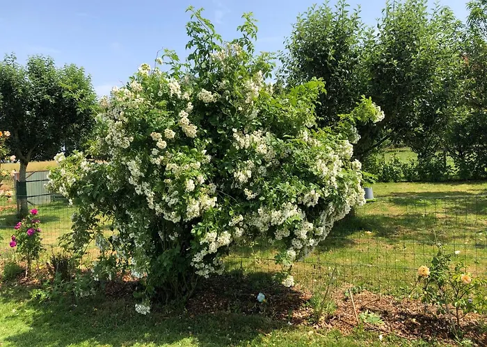 Pressoir Du Bois Gribout Villa *