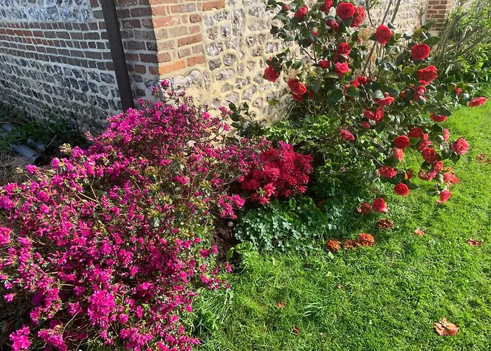 Pressoir Du Bois Gribout Villa Hautot-Saint-Sulpice